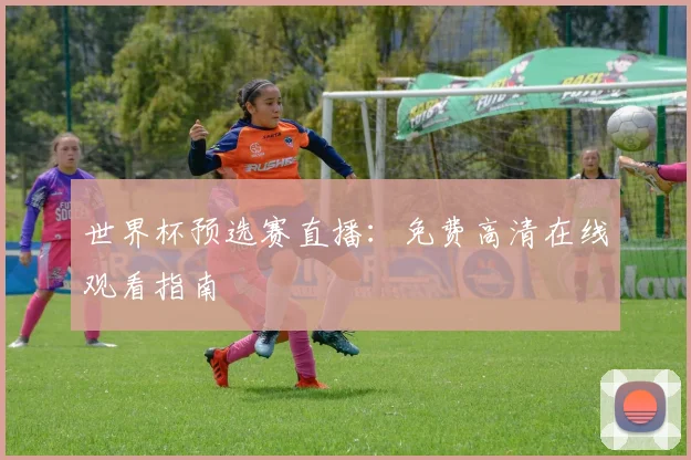 世界杯预选赛直播：免费高清在线观看指南