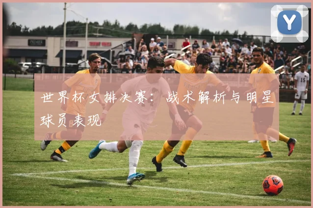 世界杯女排决赛：战术解析与明星球员表现