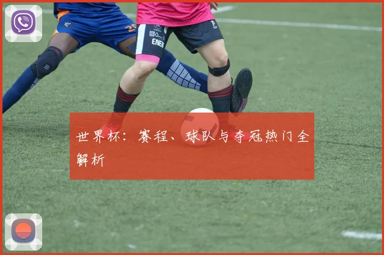 世界杯：赛程、球队与夺冠热门全解析